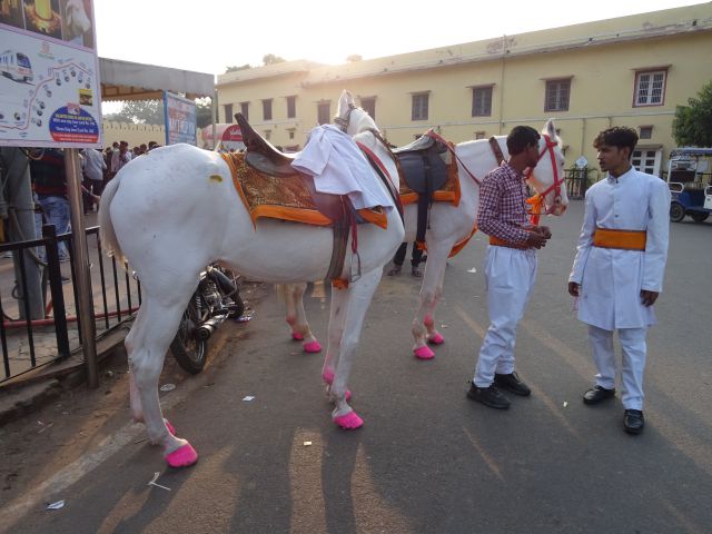 Jaipur